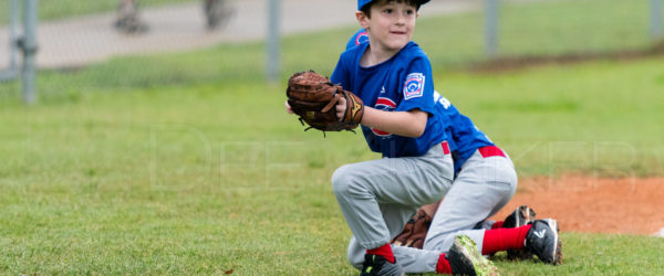 Bellaire Little League Rookies Cubs 20180407