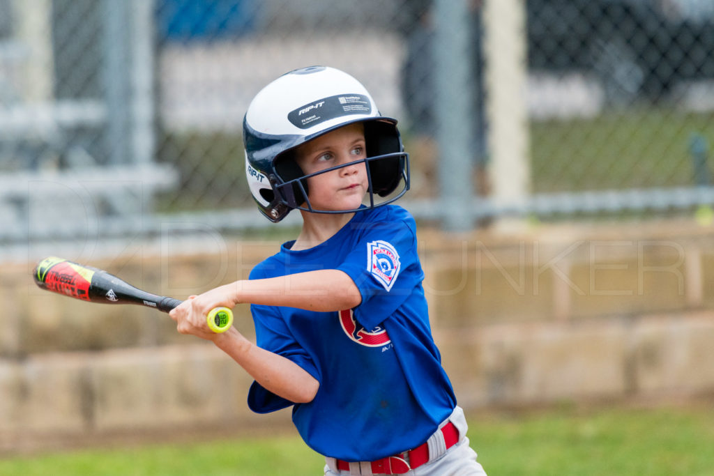 BellaireLL-20180407-Rookies-Cubs-094.DNG  Houston Sports Photographer Dee Zunker