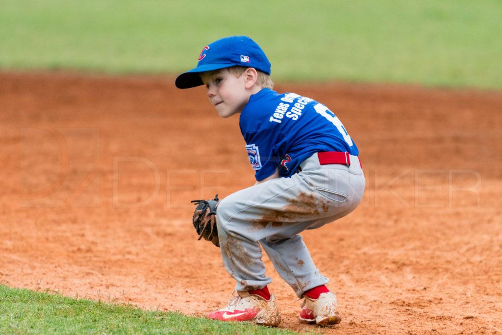 BellaireLL-20180407-Rookies-Cubs-100.DNG  Houston Sports Photographer Dee Zunker