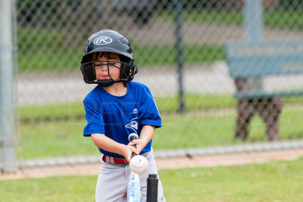 BellaireLL-20180407-TBall-Redsocks-BlueJays-047.DNG  Houston Sports Photographer Dee Zunker