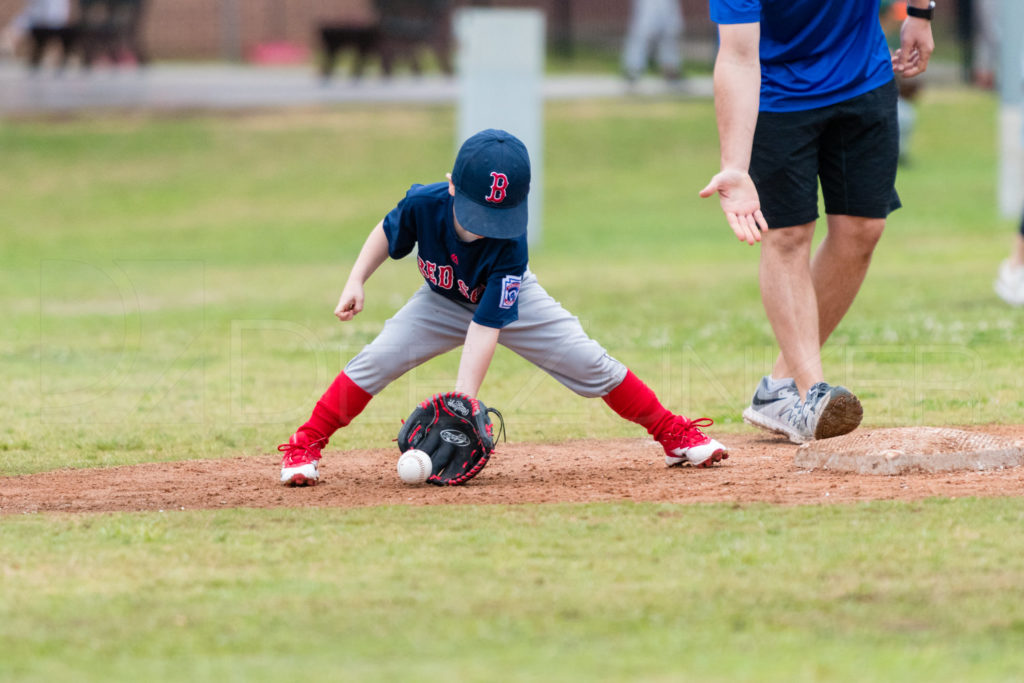 BellaireLL-20180407-TBall-Redsocks-BlueJays-123.DNG  Houston Sports Photographer Dee Zunker