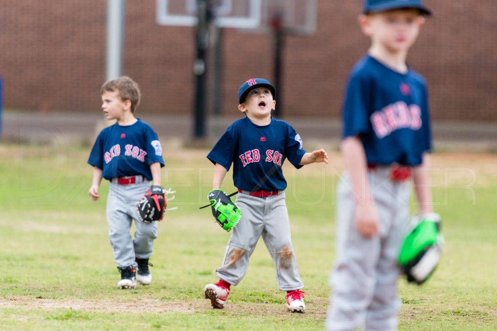 BellaireLL-20180407-TBall-Redsocks-BlueJays-125.DNG  Houston Sports Photographer Dee Zunker