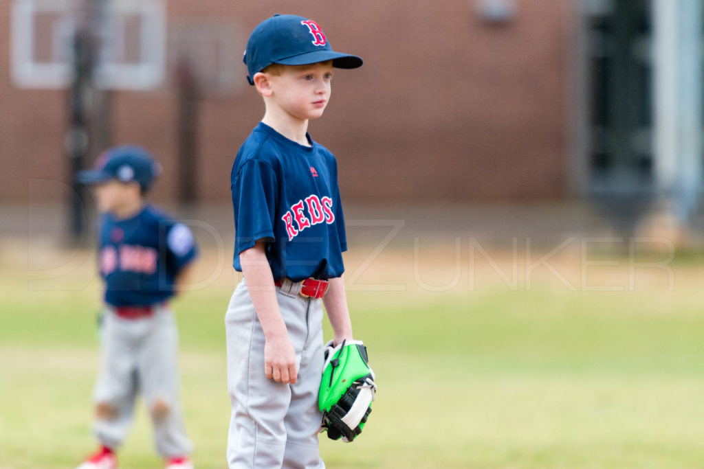 BellaireLL-20180407-TBall-Redsocks-BlueJays-126.DNG  Houston Sports Photographer Dee Zunker