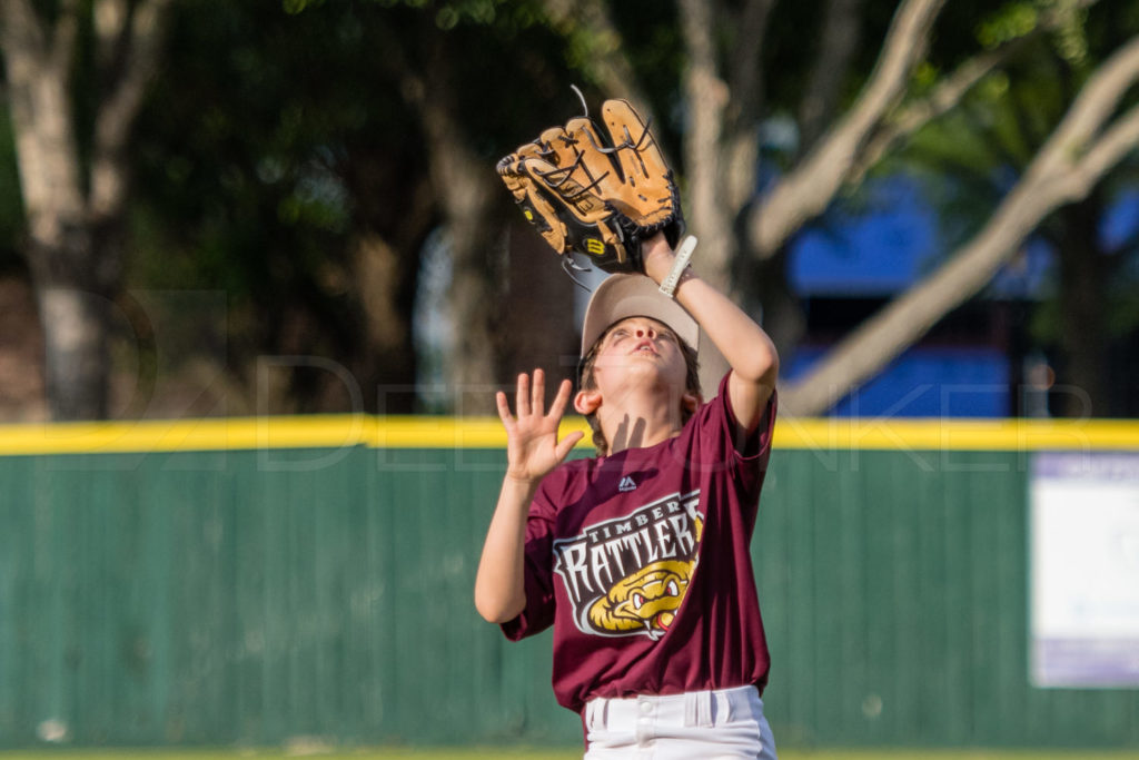 BellaireLL-20180412-Minors-Rattlers-Knights-093.DNG  Houston Sports Photographer Dee Zunker