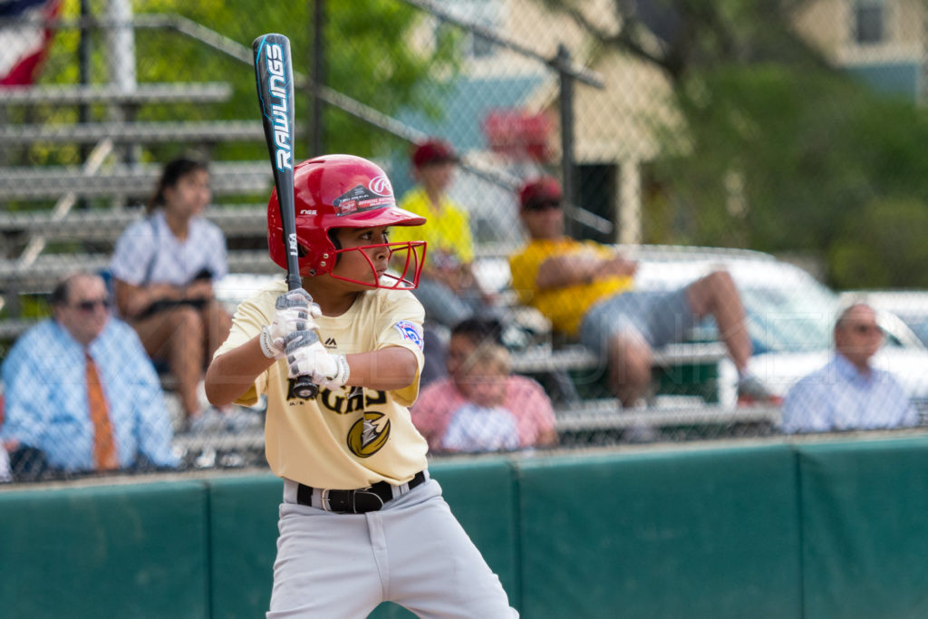 BellaireLL-20180412-Minors-Rattlers-Knights-108.DNG  Houston Sports Photographer Dee Zunker
