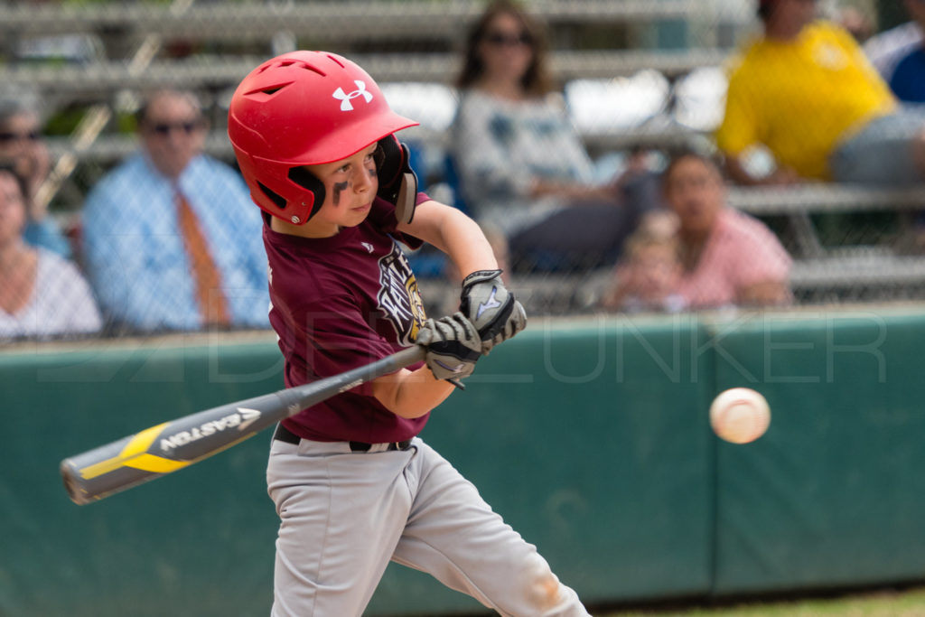 BellaireLL-20180412-Minors-Rattlers-Knights-124.DNG  Houston Sports Photographer Dee Zunker