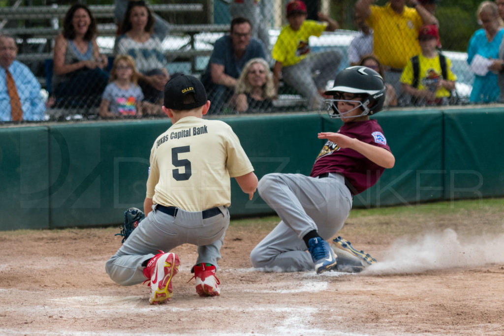 BellaireLL-20180412-Minors-Rattlers-Knights-128.DNG  Houston Sports Photographer Dee Zunker