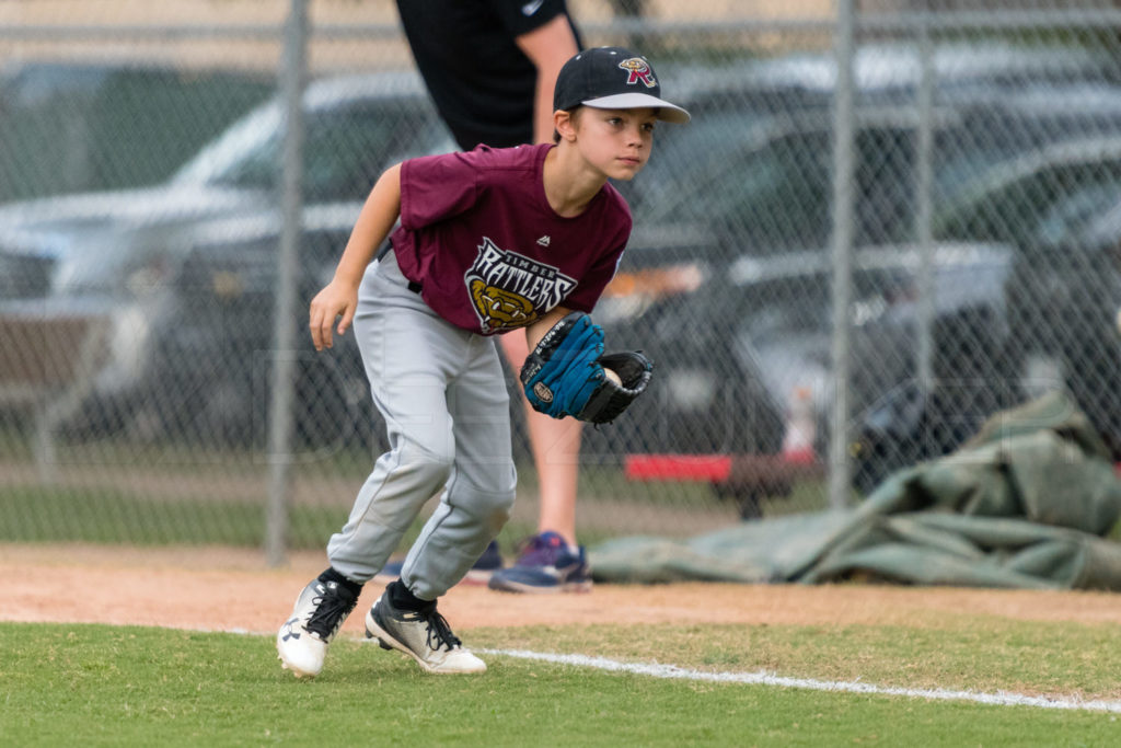 BellaireLL-20180412-Minors-Rattlers-Knights-143.DNG  Houston Sports Photographer Dee Zunker