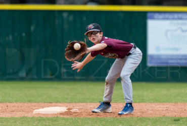 Bellaire Little League Minors Rattlers Knights 20180412