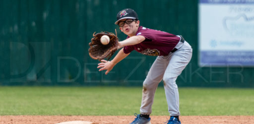 Bellaire Little League Minors Rattlers Knights 20180412