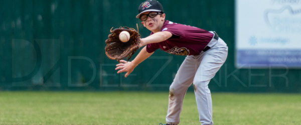 Bellaire Little League Minors Rattlers Knights 20180412