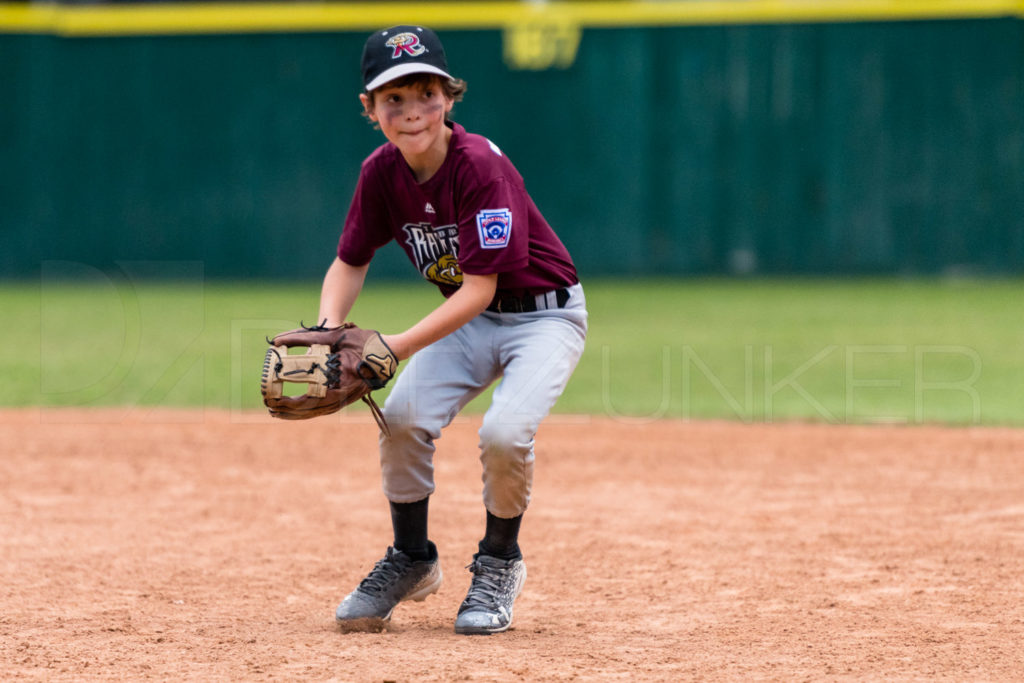 BellaireLL-20180412-Minors-Rattlers-Knights-173.DNG  Houston Sports Photographer Dee Zunker