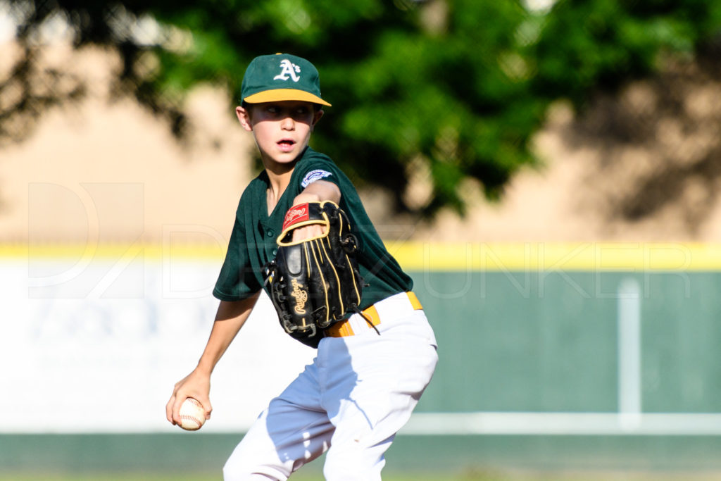 BellaireLL-Majors-Cubs-Athletics-20170419-037.dng  Houston Sports Photographer Dee Zunker