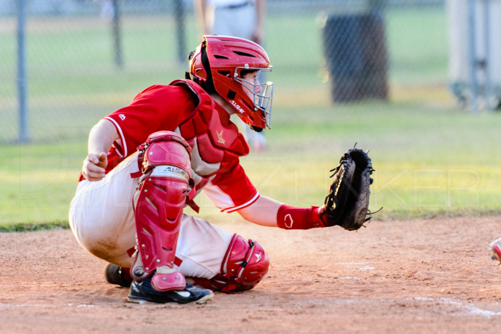 BHS-Baseball-20151006-048.dng  Houston Sports Photographer Dee Zunker