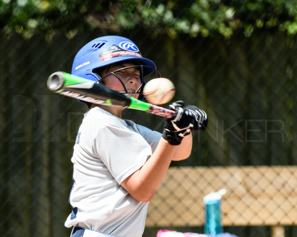 BLL-Minors-Express-Yahoos-20170326-044.dng  Houston Sports Photographer Dee Zunker