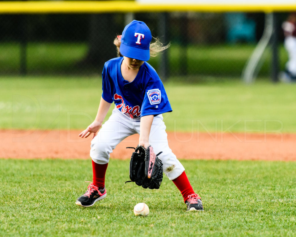 BLL-Rookie-Rays-Rangers-20170412-113.dng  Houston Sports Photographer Dee Zunker