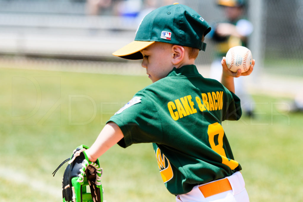 BLL-TBALL-Astros-As-20170408-034.dng  Houston Sports Photographer Dee Zunker