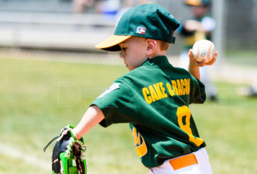 Bellaire Little League TBall Division Astros Athletics 20170408