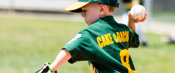 Bellaire Little League TBall Division Astros Athletics 20170408