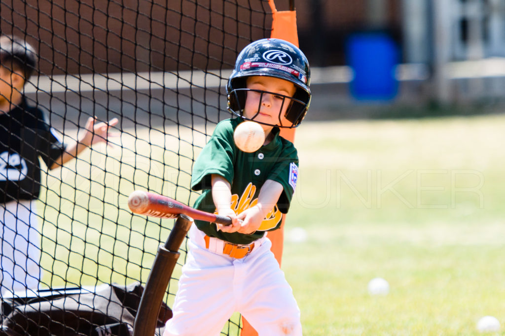 BLL-TBALL-Astros-As-20170408-069.dng  Houston Sports Photographer Dee Zunker