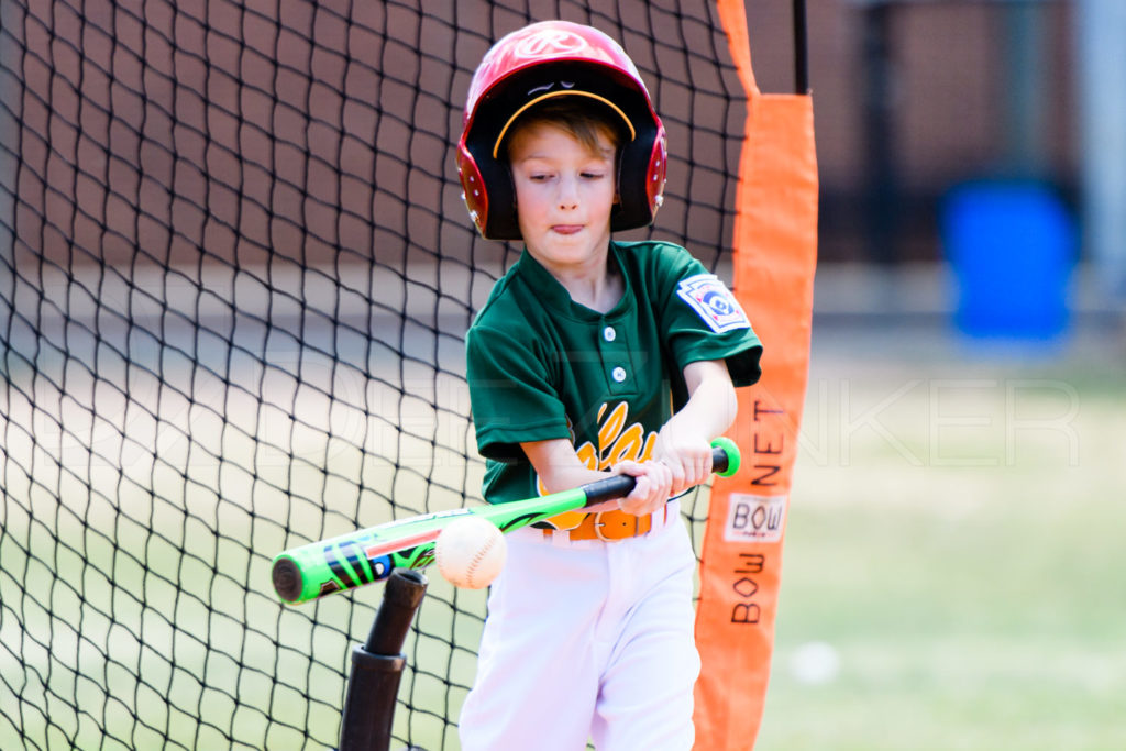 BLL-TBALL-Astros-As-20170408-094.dng  Houston Sports Photographer Dee Zunker