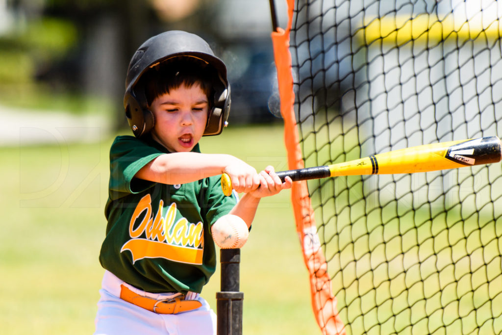 BLL-TBALL-Astros-As-20170408-134.dng  Houston Sports Photographer Dee Zunker