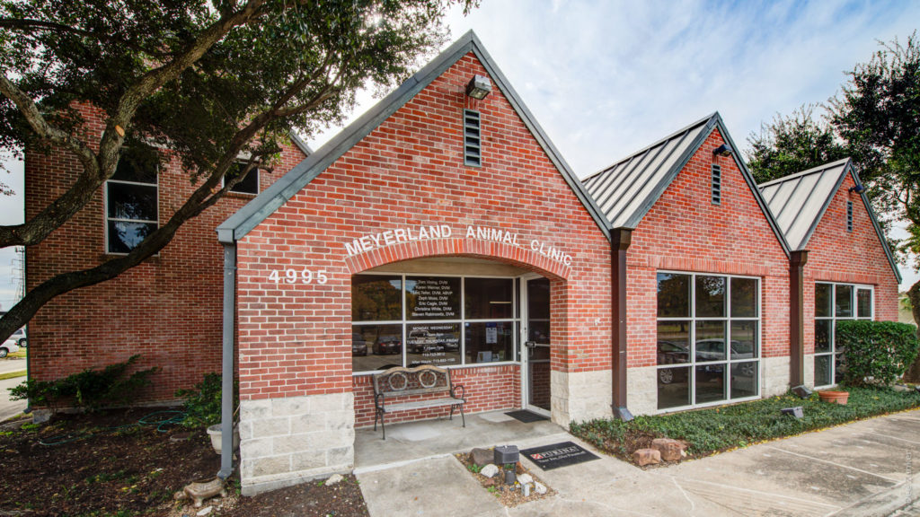 Meyerland Animal Clinic Houston Architecture Photography  POI_MeyerlandAnimal_0002.tif  Houston Commercial Architectural Photographer Dee Zunker