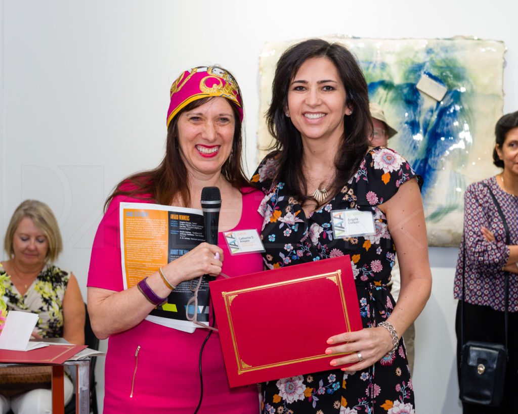 VAA-12th-Invitational-Juried-20170809-024.NEF Houston Commercial Photographer Dee Zunker