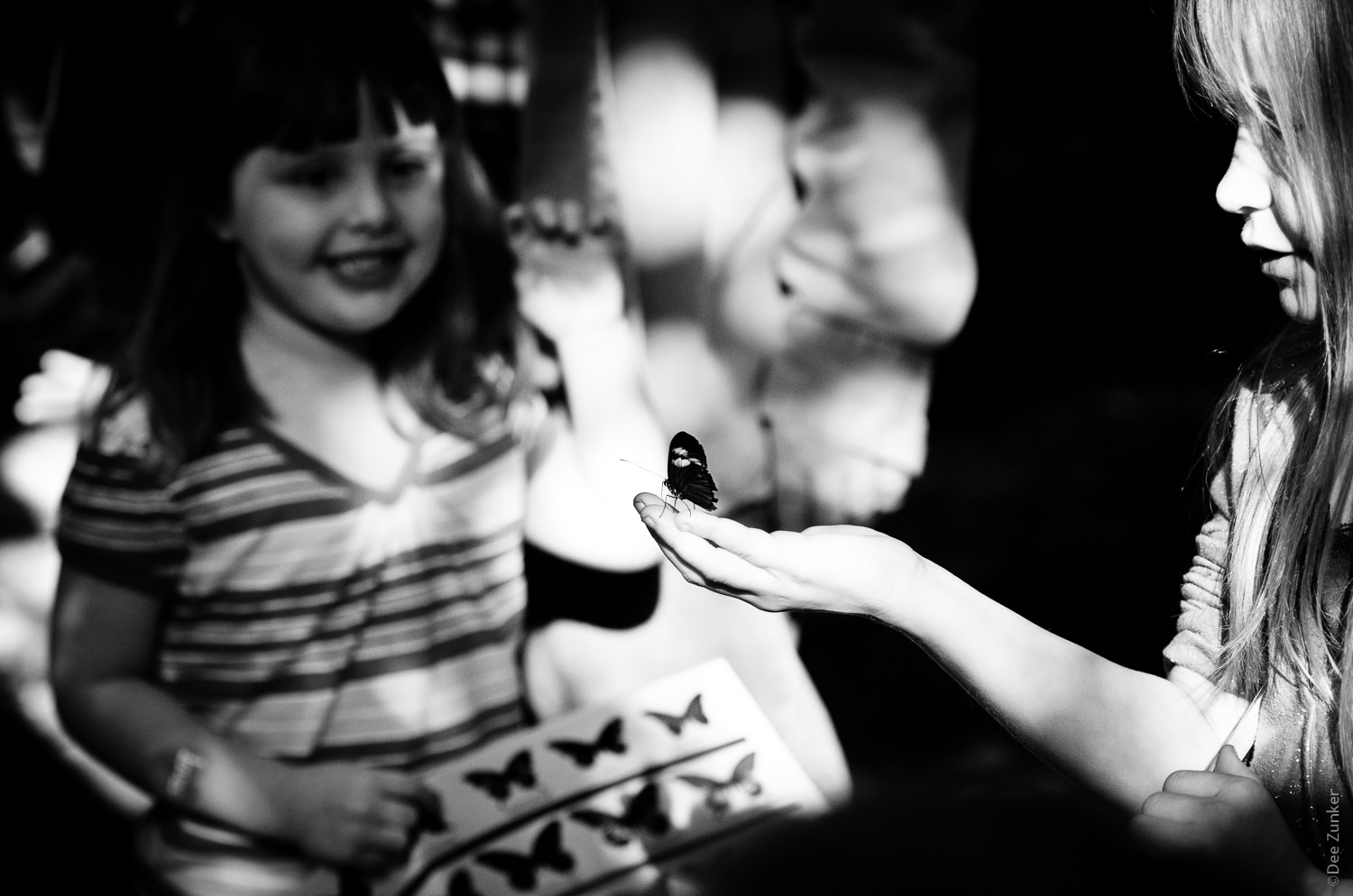 Girls with butterfly in black and white at Cockrell Butterfly Museum by Houston Commercial Photographer Dee Zunker