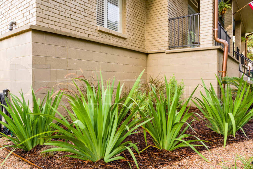 1787-_DZ70965.NEF  Houston Commercial Architectural Photographer Dee Zunker