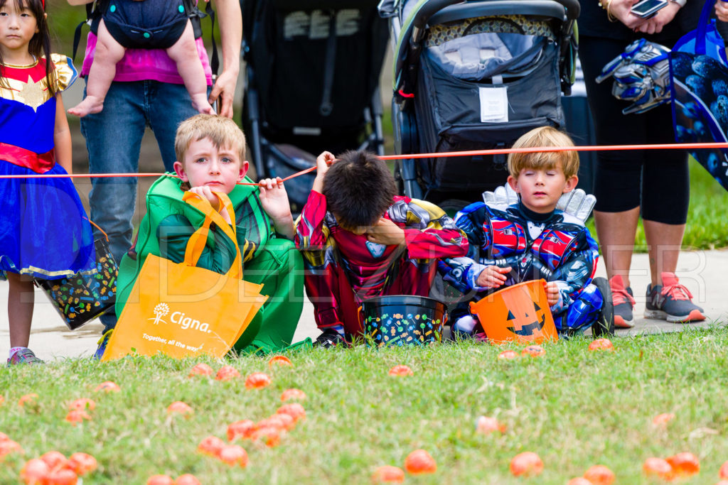 1799-CItyBellaire-PumpkinHunt-2019-030.NEF Houston Commercial Architectural Photographer Dee Zunker