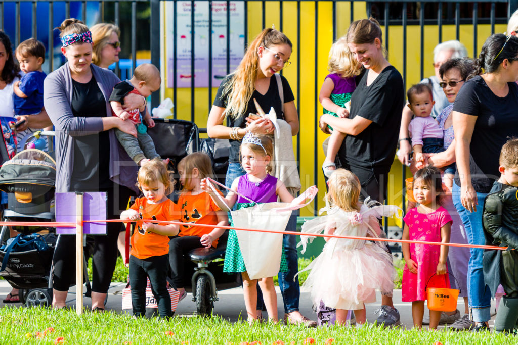 1799-CItyBellaire-PumpkinHunt-2019-045.NEF  Houston Commercial Architectural Photographer Dee Zunker