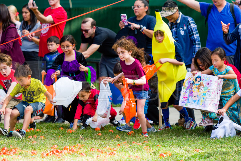 1799-CItyBellaire-PumpkinHunt-2019-049.NEF Houston Commercial Architectural Photographer Dee Zunker