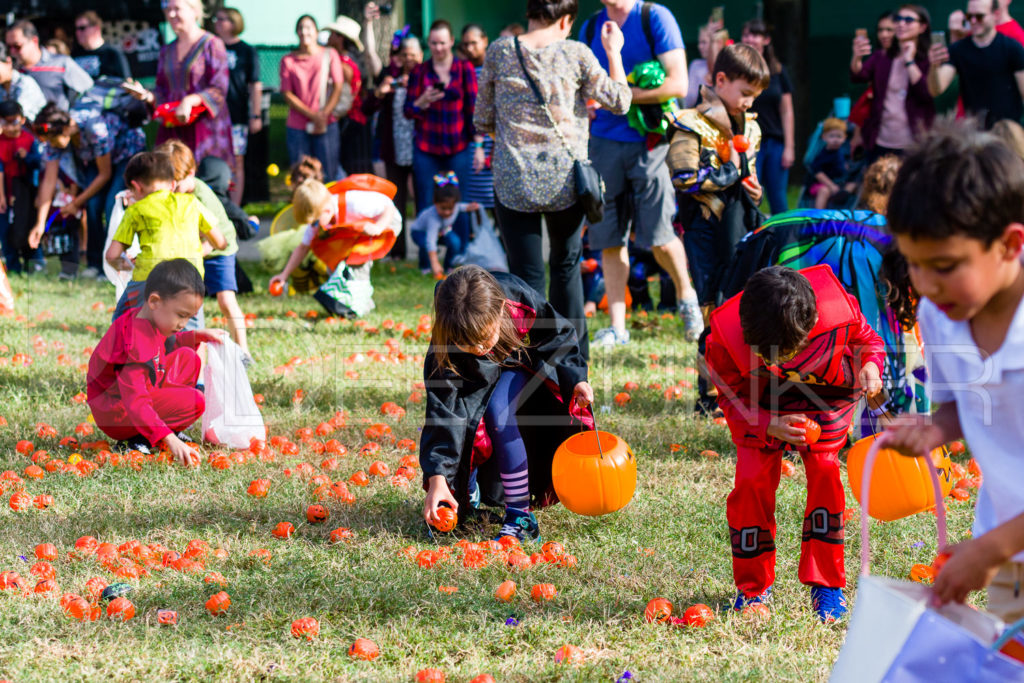 1799-CItyBellaire-PumpkinHunt-2019-058.NEF Houston Commercial Architectural Photographer Dee Zunker