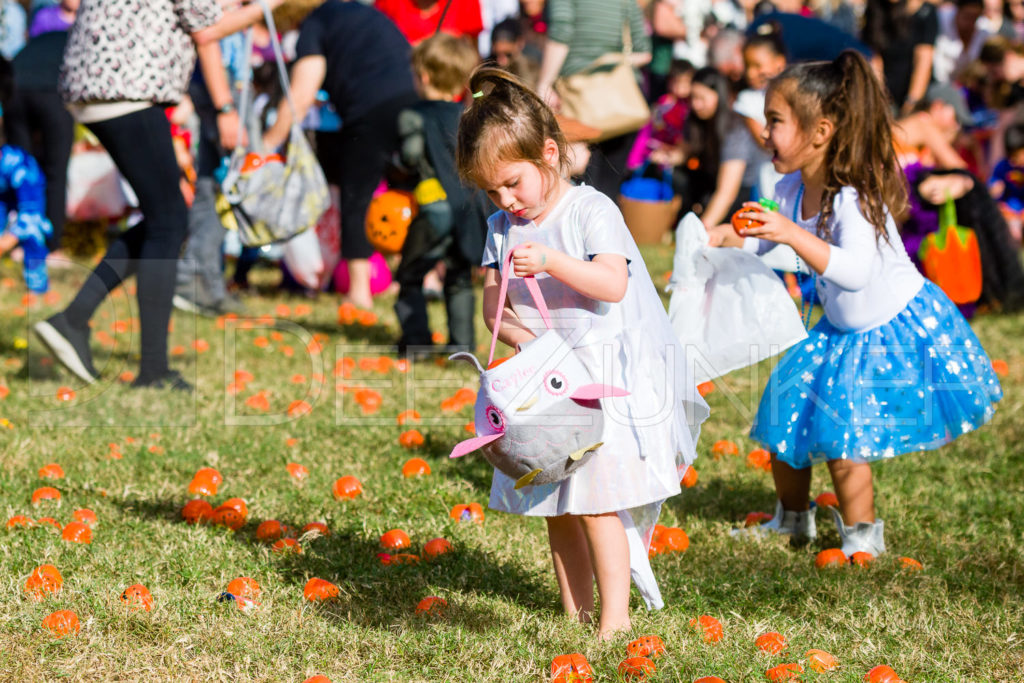 1799-CItyBellaire-PumpkinHunt-2019-063.NEF Houston Commercial Architectural Photographer Dee Zunker