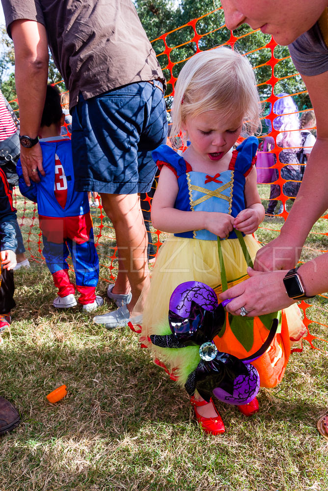 1799-CItyBellaire-PumpkinHunt-2019-066.NEF Houston Commercial Architectural Photographer Dee Zunker