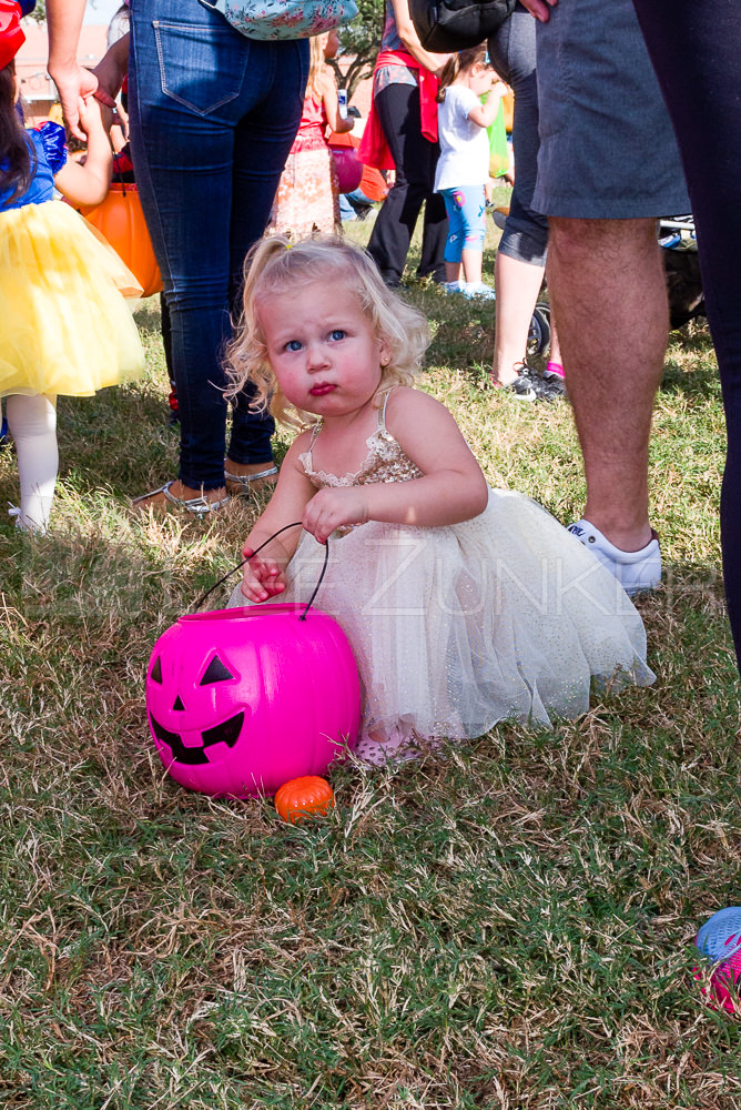 1799-CItyBellaire-PumpkinHunt-2019-068.NEF Houston Commercial Architectural Photographer Dee Zunker