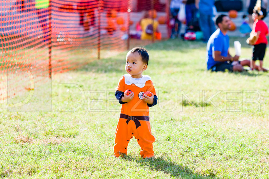 1799-CItyBellaire-PumpkinHunt-2019-080.NEF Houston Commercial Architectural Photographer Dee Zunker