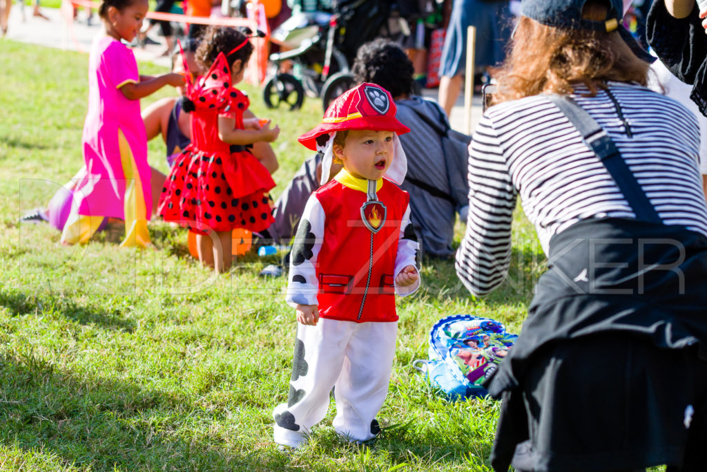 1799-CItyBellaire-PumpkinHunt-2019-082.NEF Houston Commercial Architectural Photographer Dee Zunker