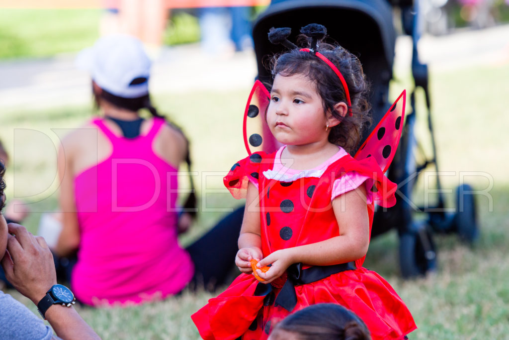 1799-CItyBellaire-PumpkinHunt-2019-094.NEF Houston Commercial Architectural Photographer Dee Zunker