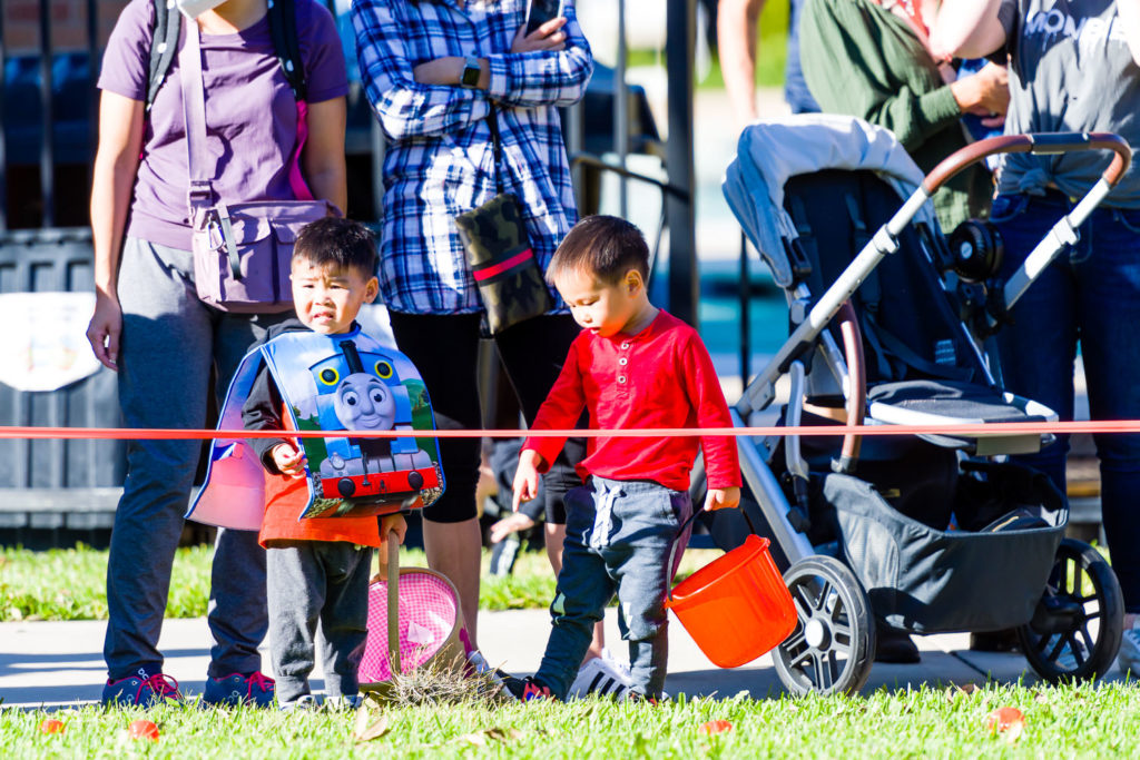 3182-Bellaire-PumpkinHunt-038.NEF  Houston Commercial Architectural Photographer Dee Zunker