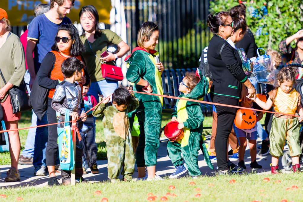 3182-Bellaire-PumpkinHunt-039.NEF  Houston Commercial Architectural Photographer Dee Zunker