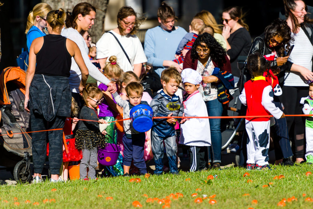 3182-Bellaire-PumpkinHunt-058.NEF  Houston Commercial Architectural Photographer Dee Zunker