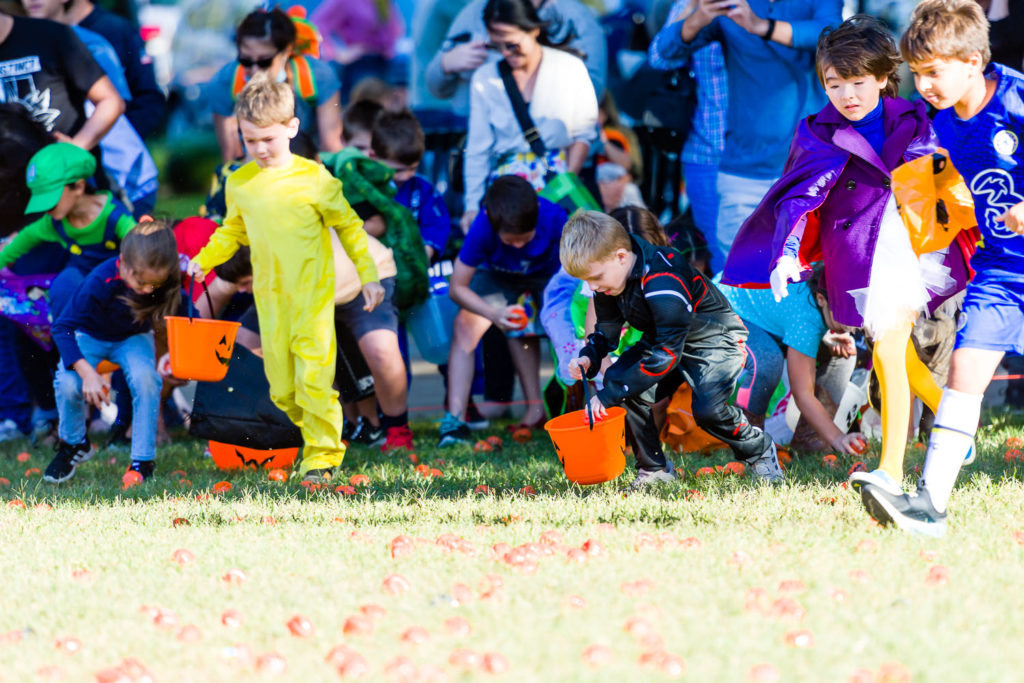 3182-Bellaire-PumpkinHunt-067.NEF  Houston Commercial Architectural Photographer Dee Zunker