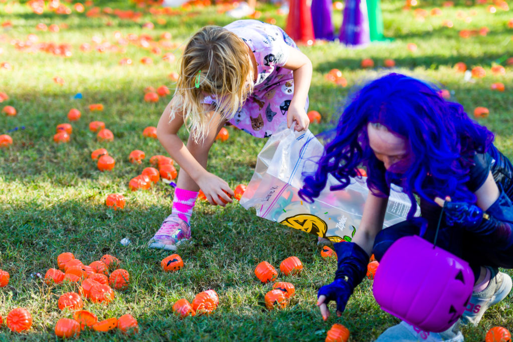 3182-Bellaire-PumpkinHunt-071.NEF  Houston Commercial Architectural Photographer Dee Zunker