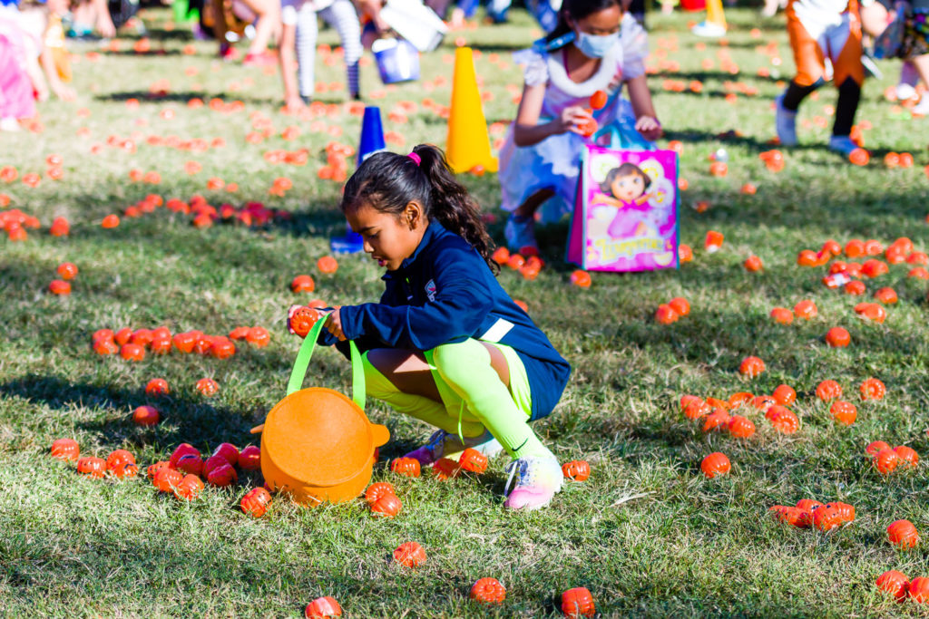 3182-Bellaire-PumpkinHunt-073.NEF  Houston Commercial Architectural Photographer Dee Zunker