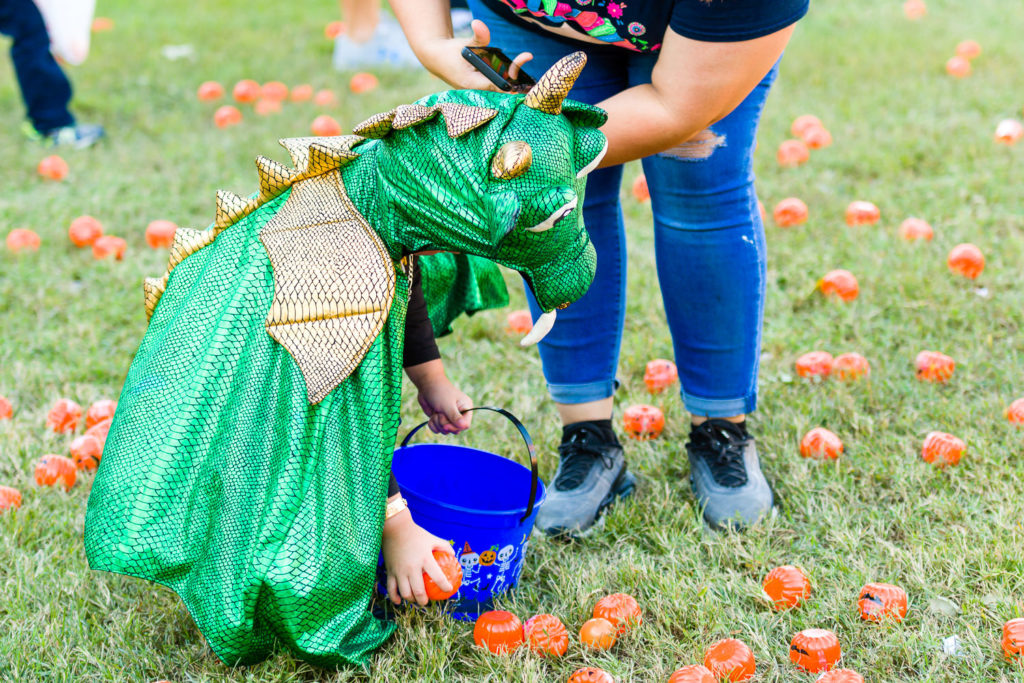 3182-Bellaire-PumpkinHunt-076.NEF  Houston Commercial Architectural Photographer Dee Zunker