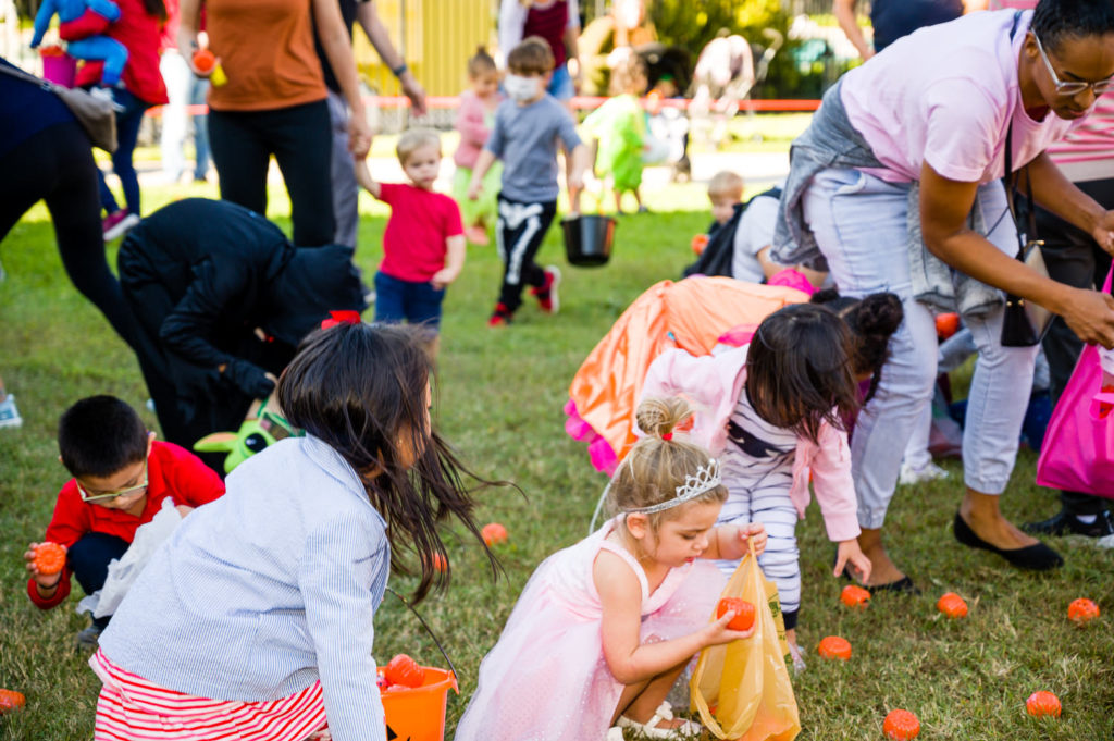 3182-Bellaire-PumpkinHunt-082.NEF  Houston Commercial Architectural Photographer Dee Zunker