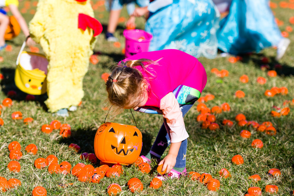 3182-Bellaire-PumpkinHunt-083.NEF  Houston Commercial Architectural Photographer Dee Zunker