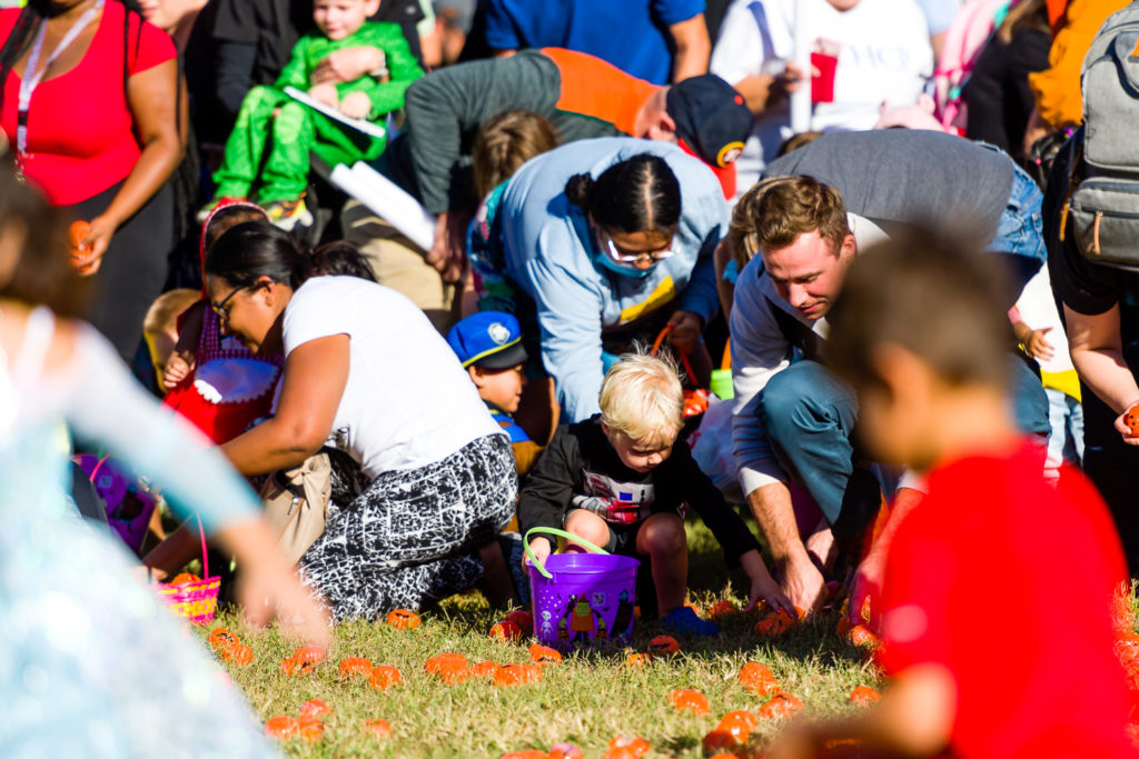 3182-Bellaire-PumpkinHunt-085.NEF  Houston Commercial Architectural Photographer Dee Zunker